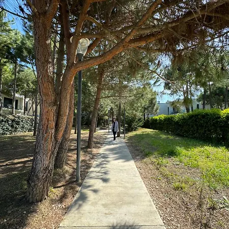 Vala Mar Hamallaj